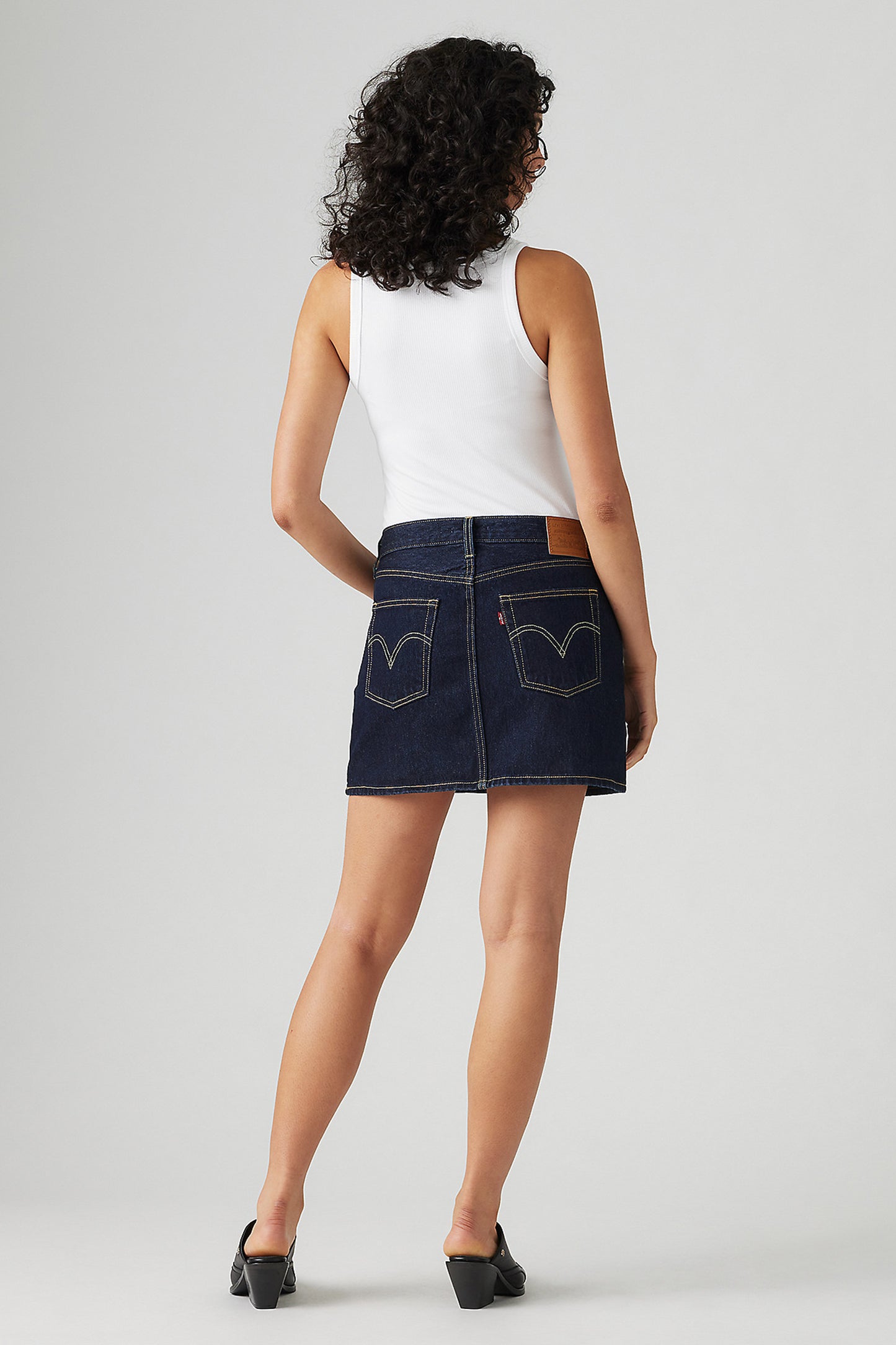 Western Icon Skirt Dream Nice Dreams