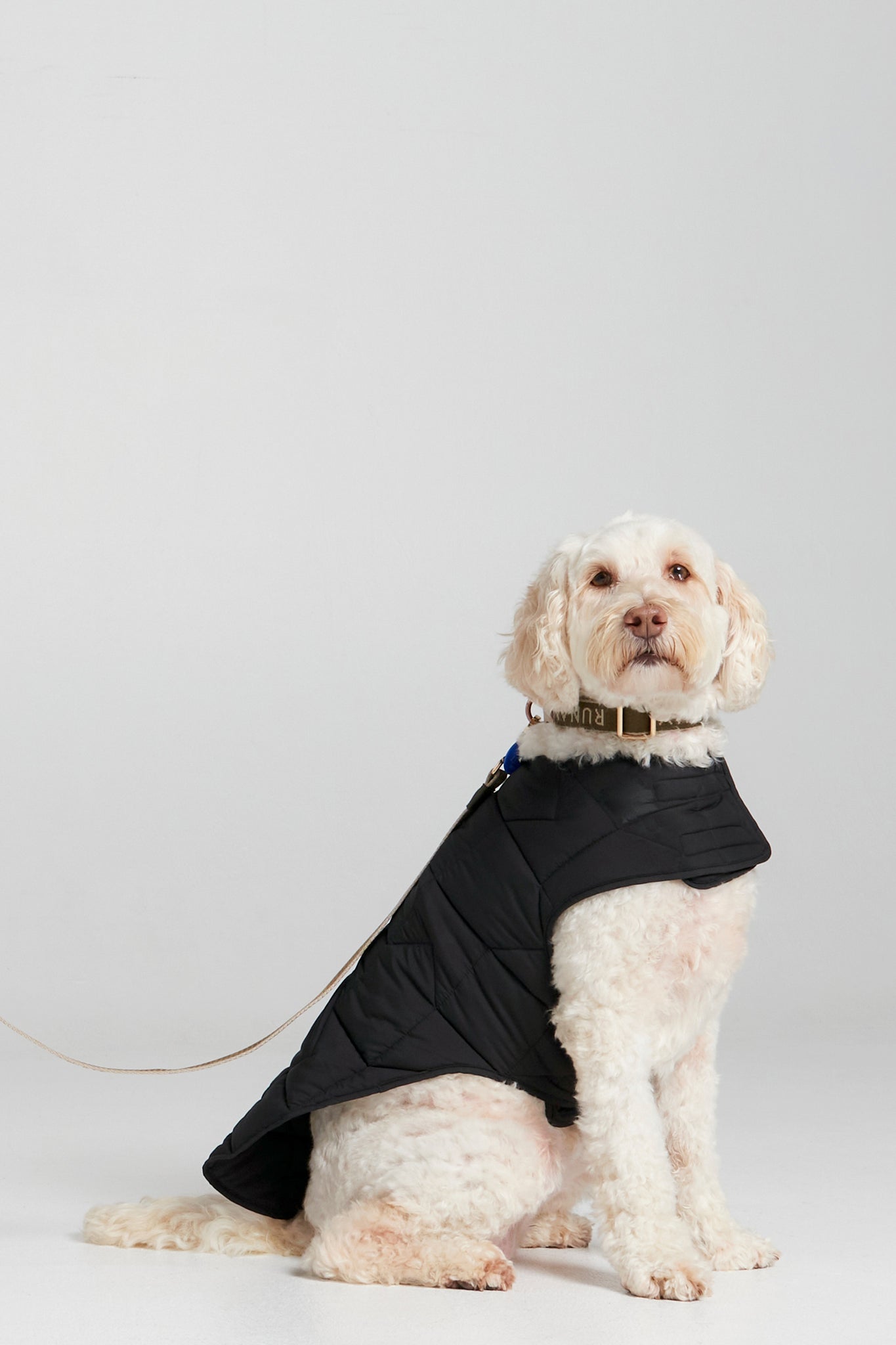 Quilted Monogram Dog Jacket Black