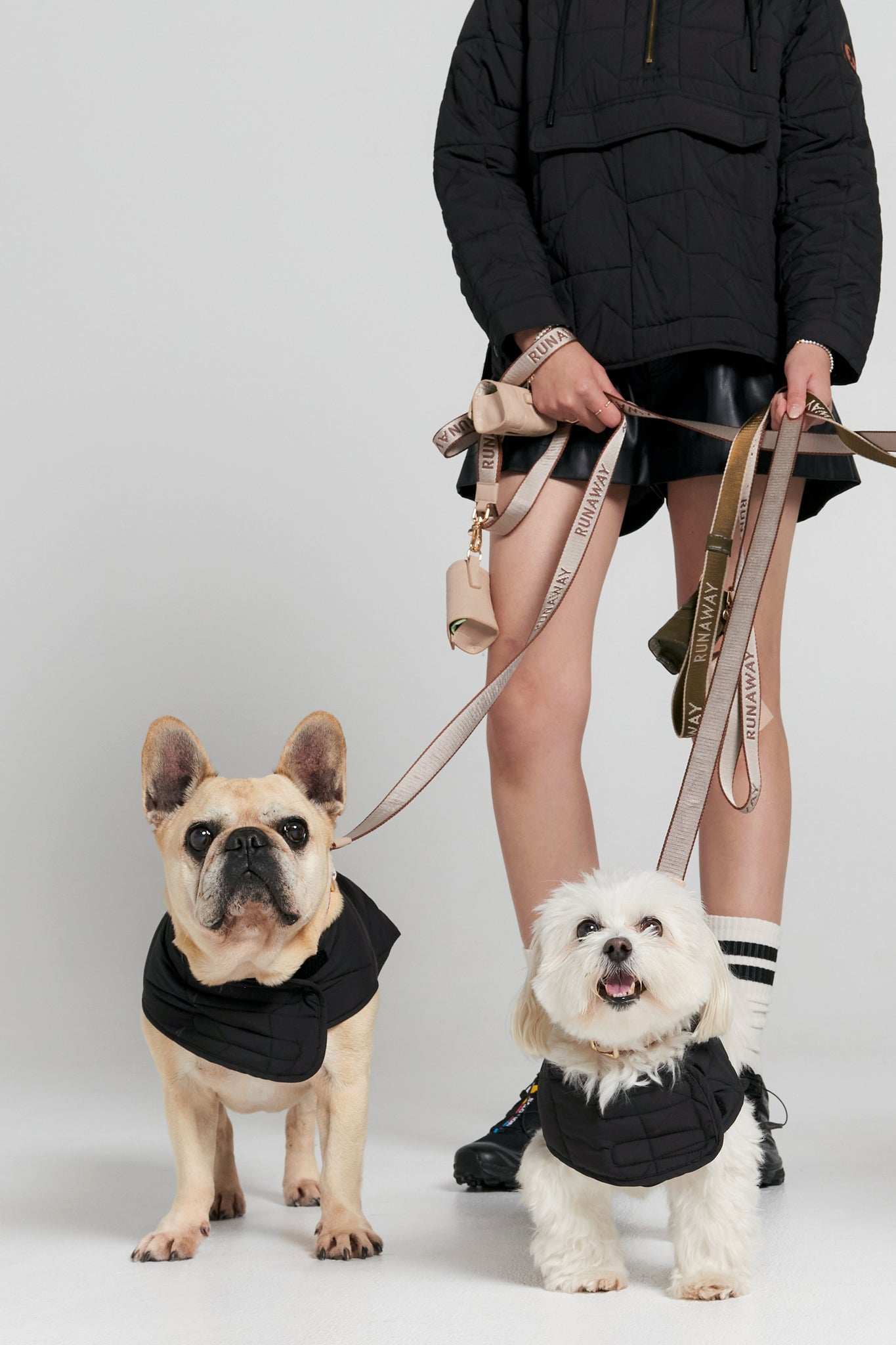 Quilted Monogram Dog Jacket Black