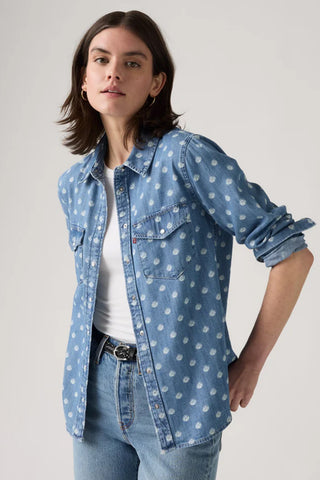 Iconic Western Shirt Catt Block Print