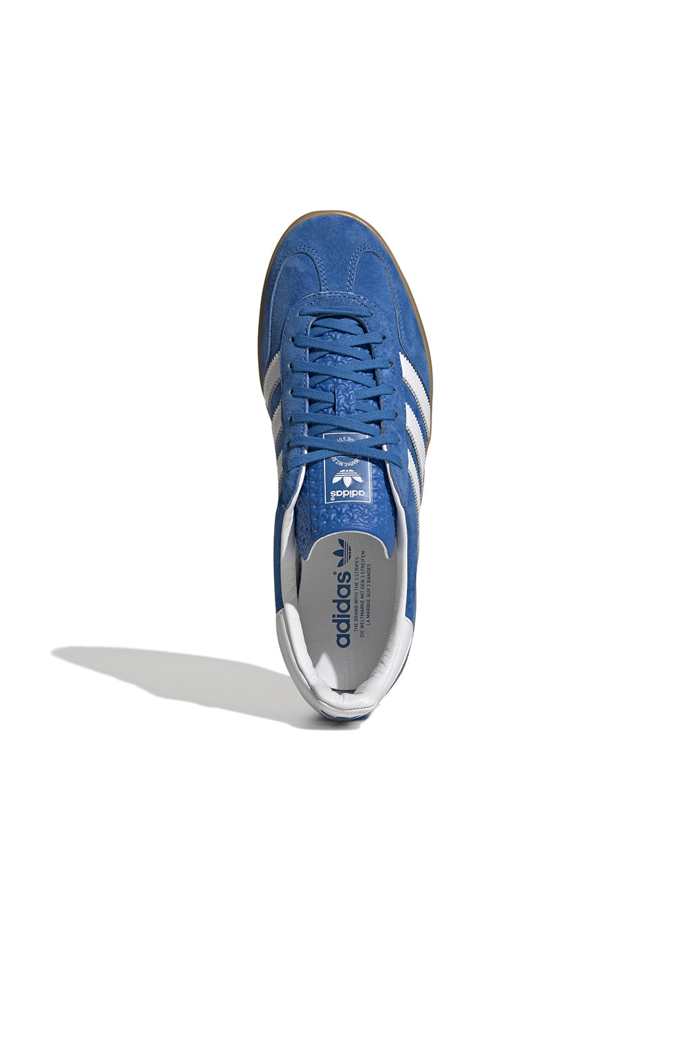 adidas Gazelle Indoor Shoes Blue Bird/Cloud White/Blue Bird