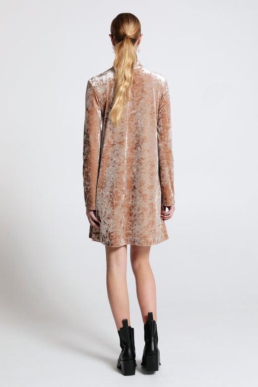 Electric Velvet Dress Champagne