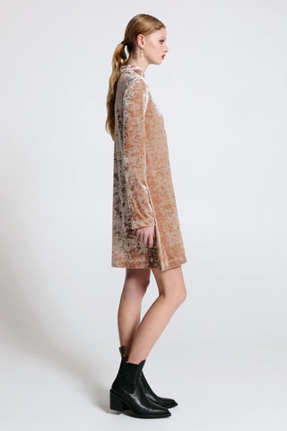 Electric Velvet Dress Champagne