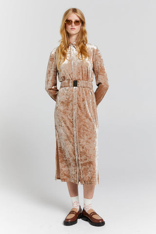 Electric Velvet Shirt Dress Champagne