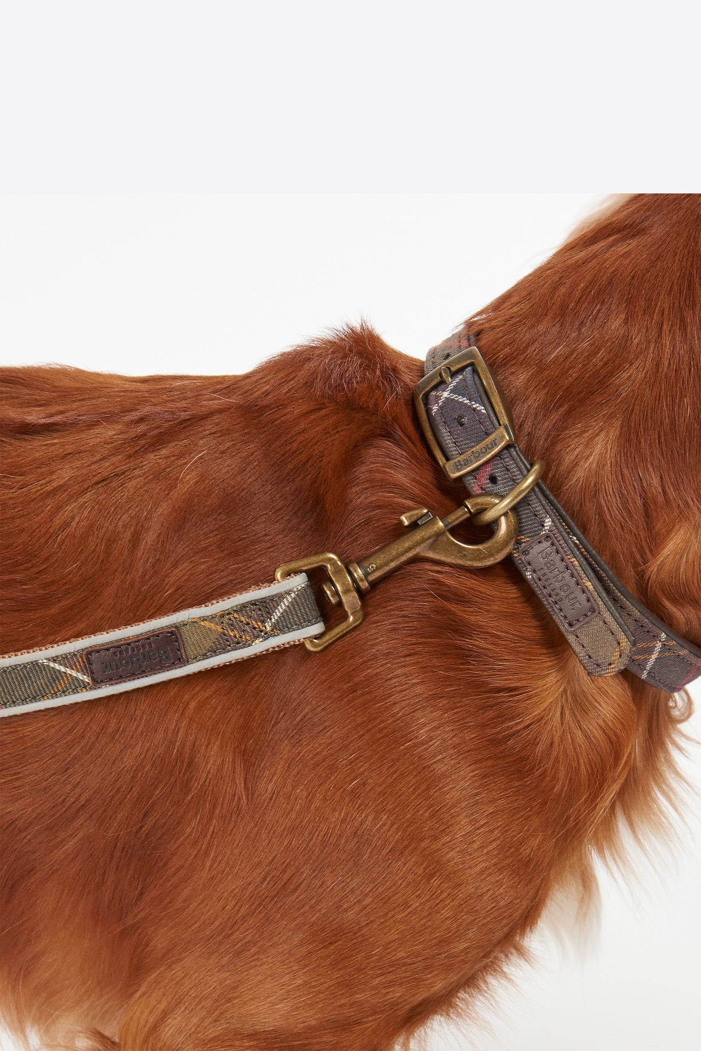 Reflective Tartan Dog Lead Classic Tartan