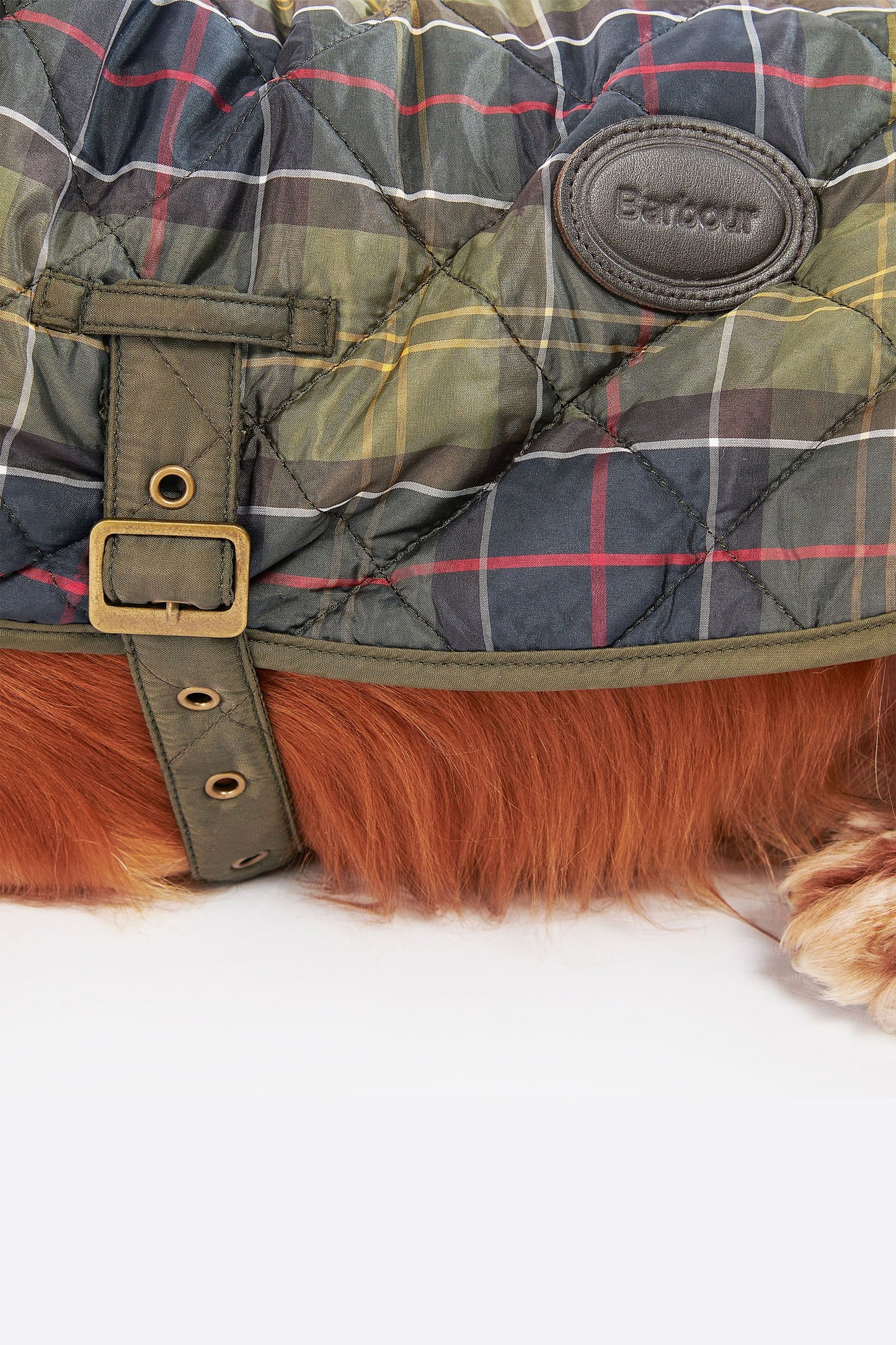 Tartan Dog Coat Classic Tartan