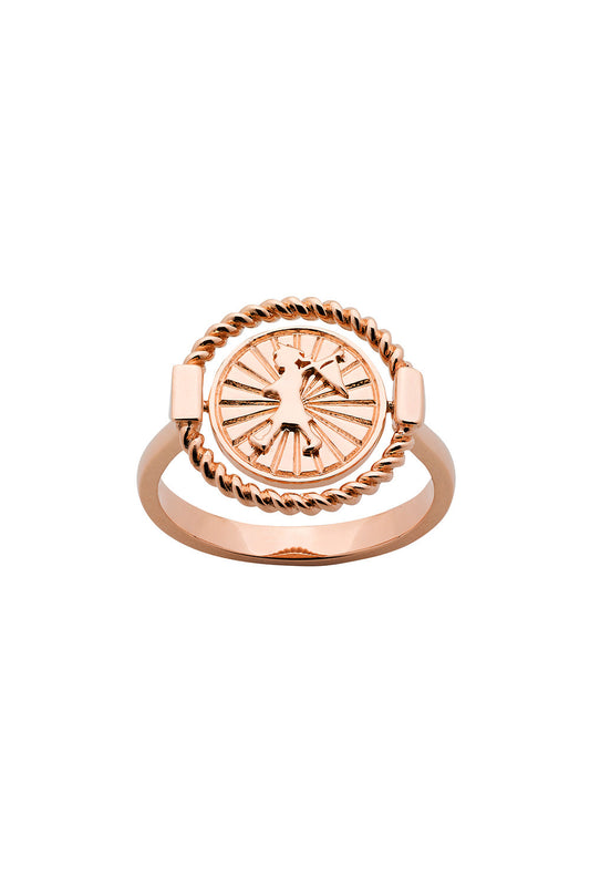 Voyager Spin Ring Rose Gold