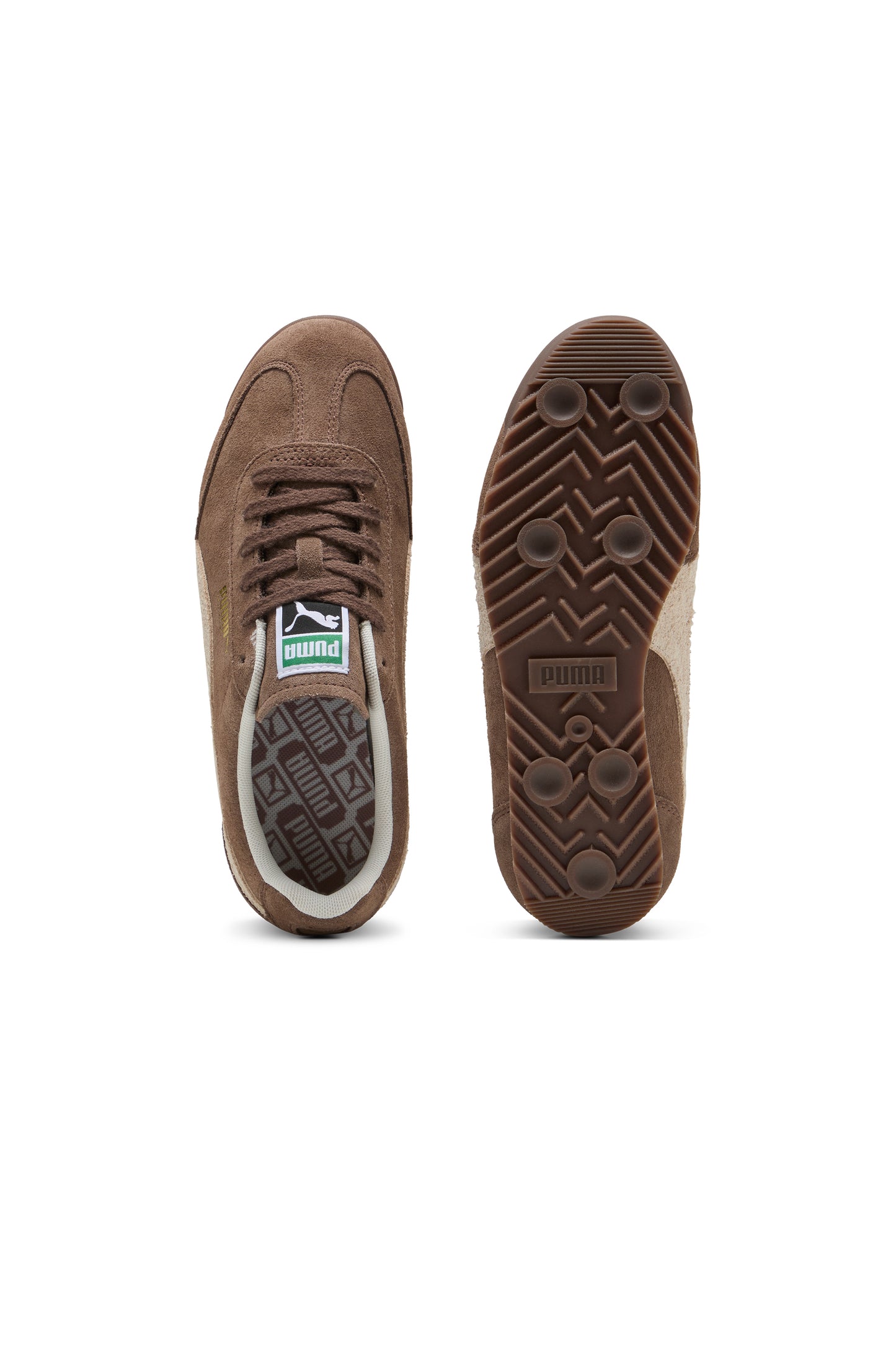 Arizona SD Sneakers Flat Bronze/Alpine Snow/Puma Gold