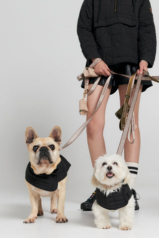 Quilted Monogram Dog Jacket Black