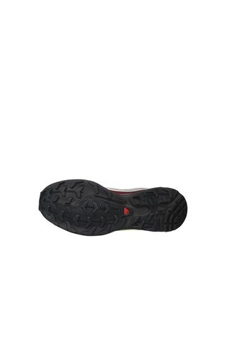 XT-6 Gore-Tex Paloma/Maroon Banner/Butterfly