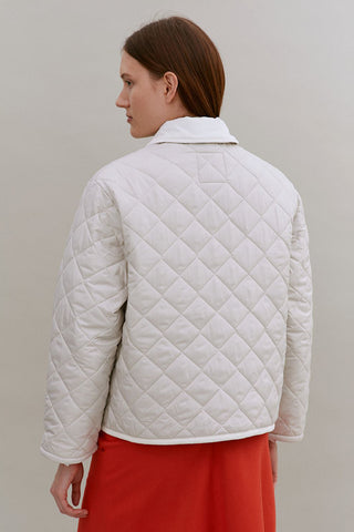 Teynham Moonbeam Silver