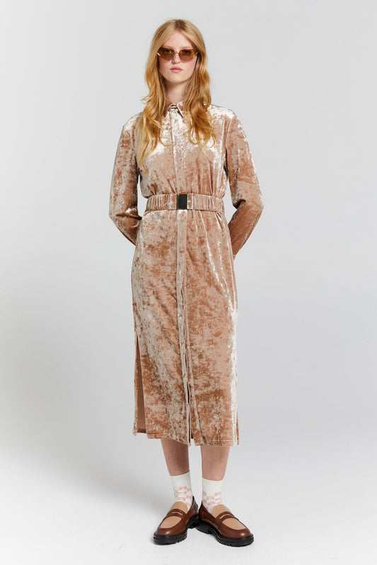 Electric Velvet Shirt Dress Champagne