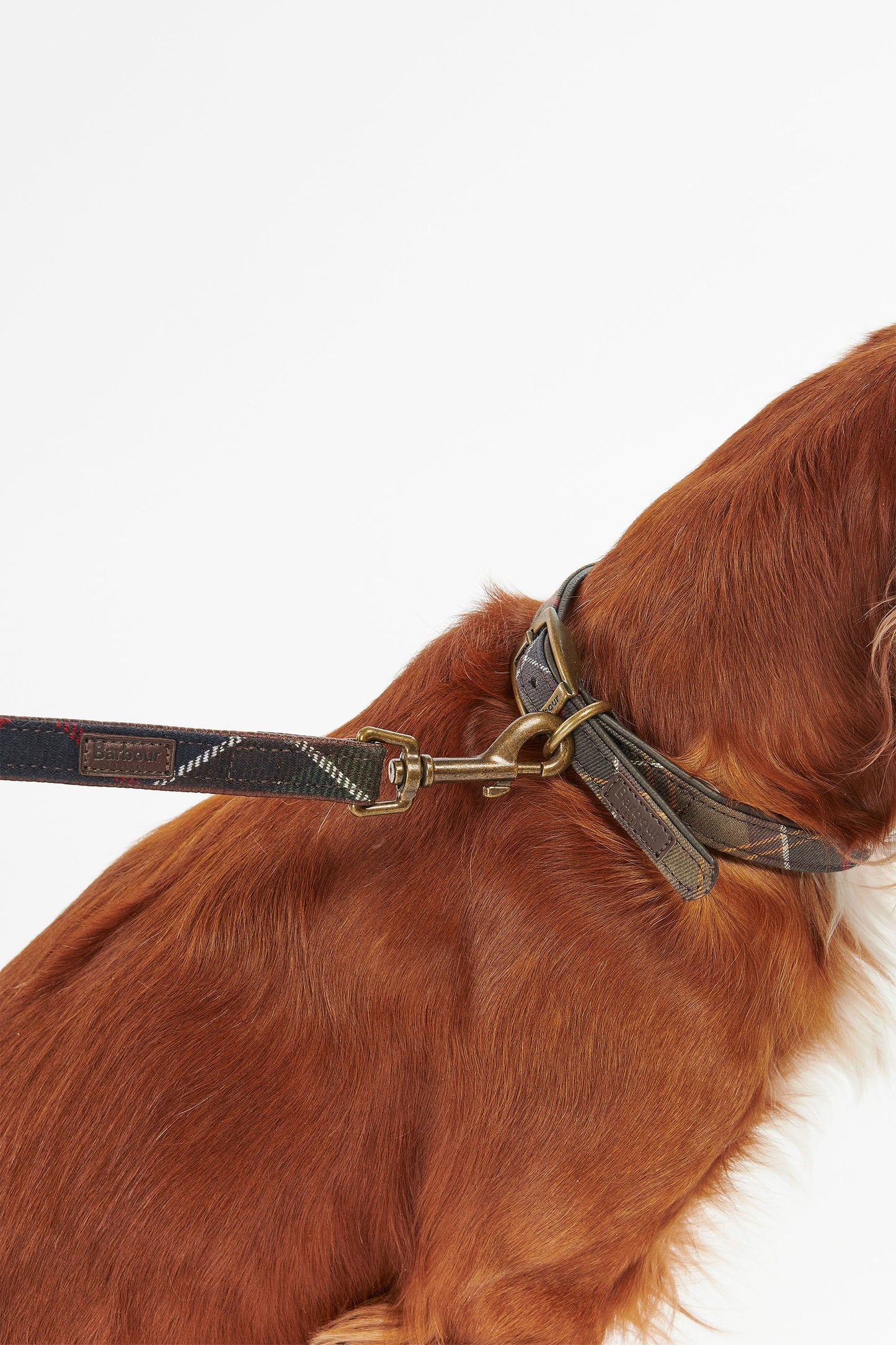 Tartan Dog Lead Classic Tartan