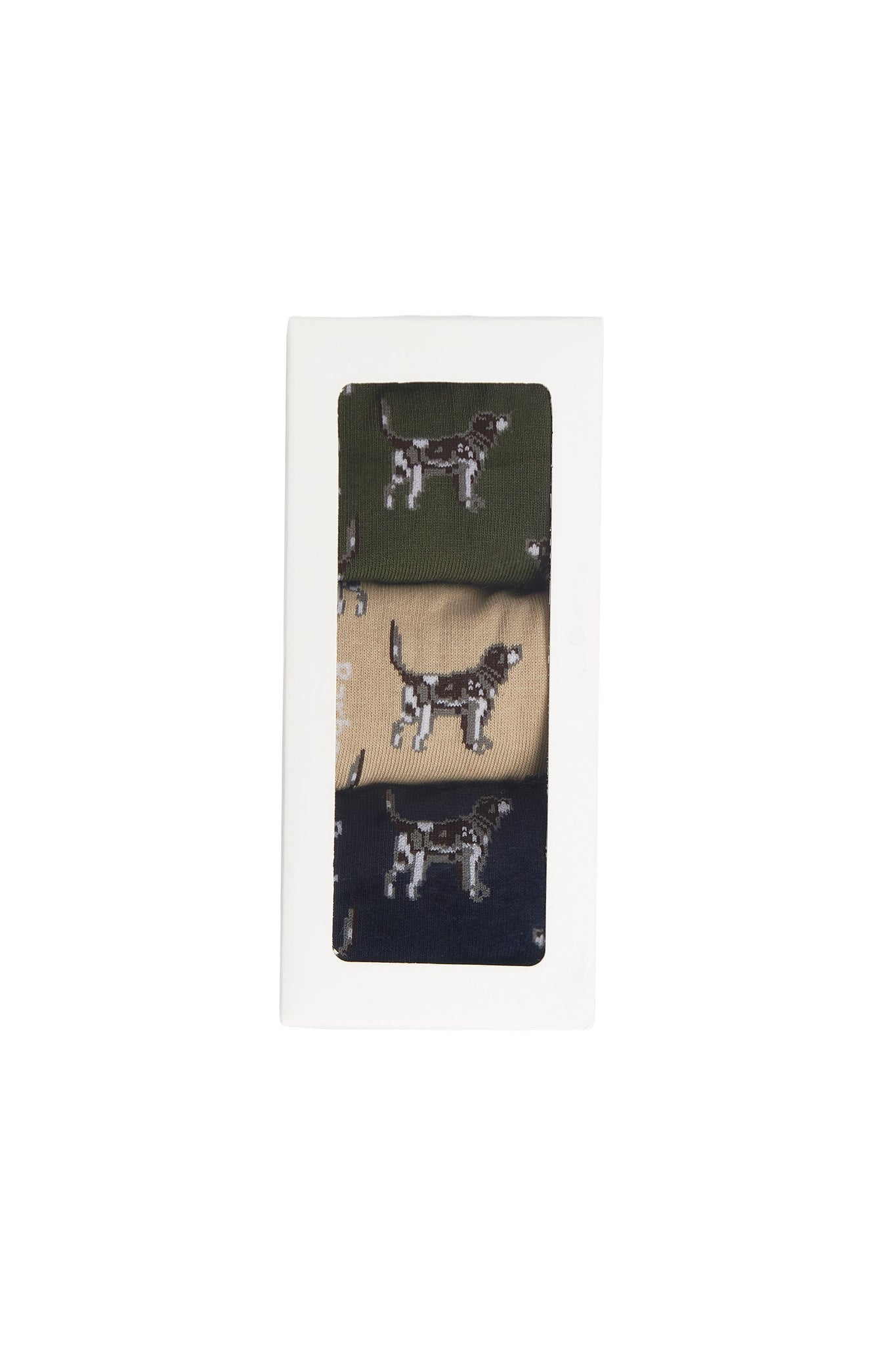 Pointer Dog Socks Gift Box Forest Mist