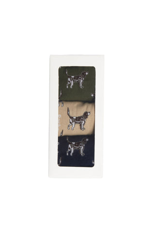 Pointer Dog Socks Gift Box Forest Mist