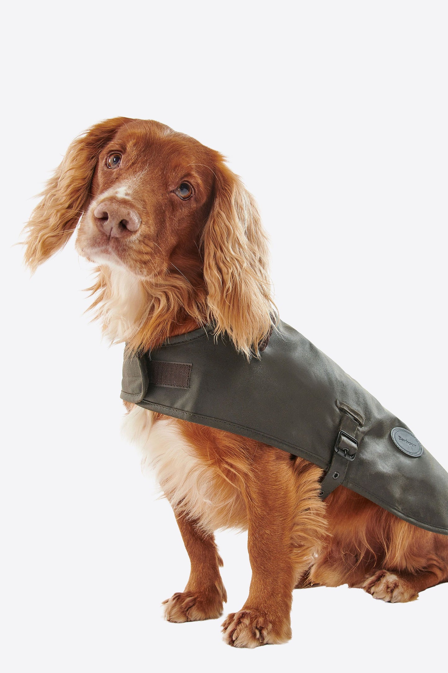 Slykoil Wax Dog Coat Olive