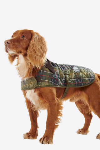 Tartan Dog Coat Classic Tartan