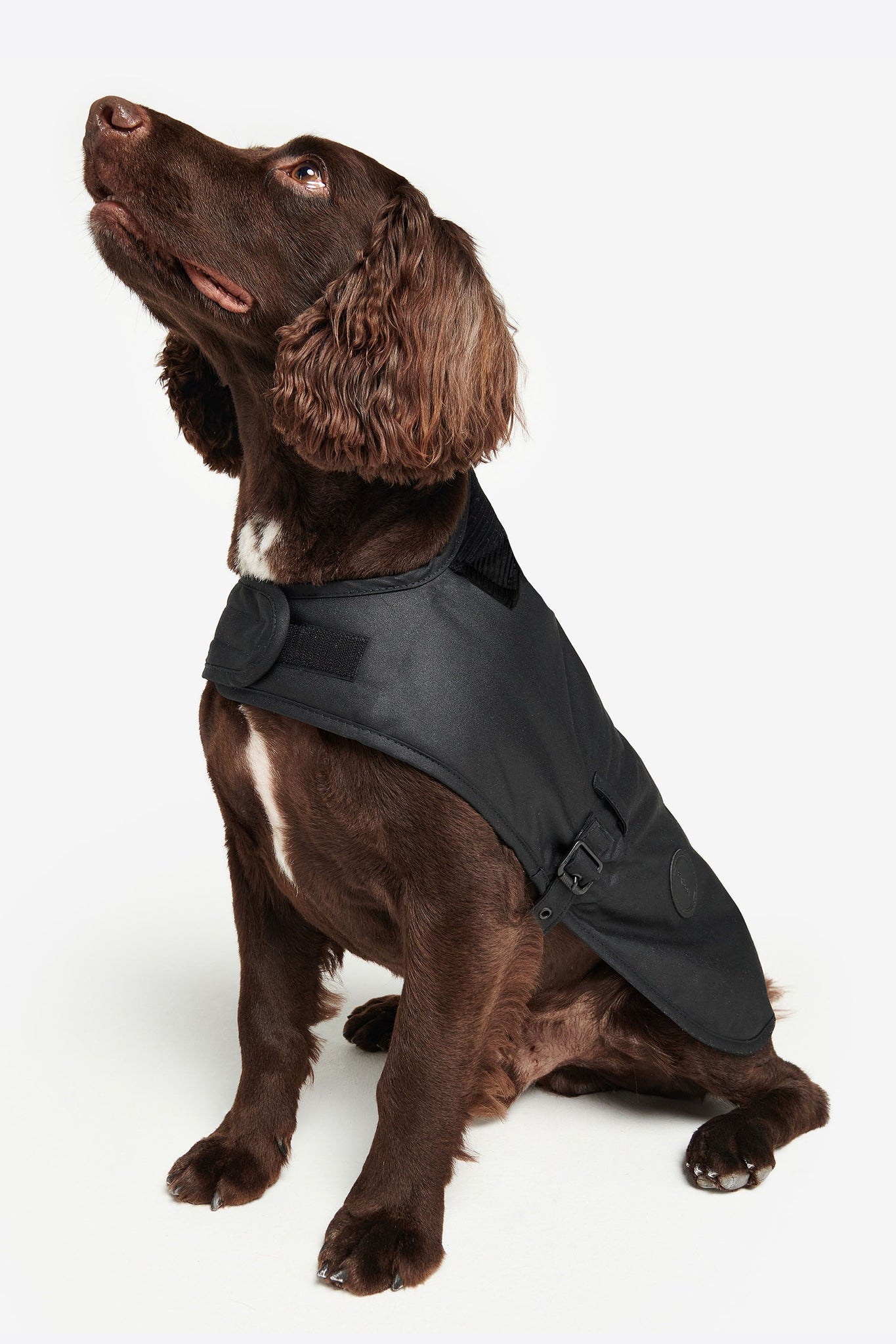 Slykoil Wax Dog Coat Black