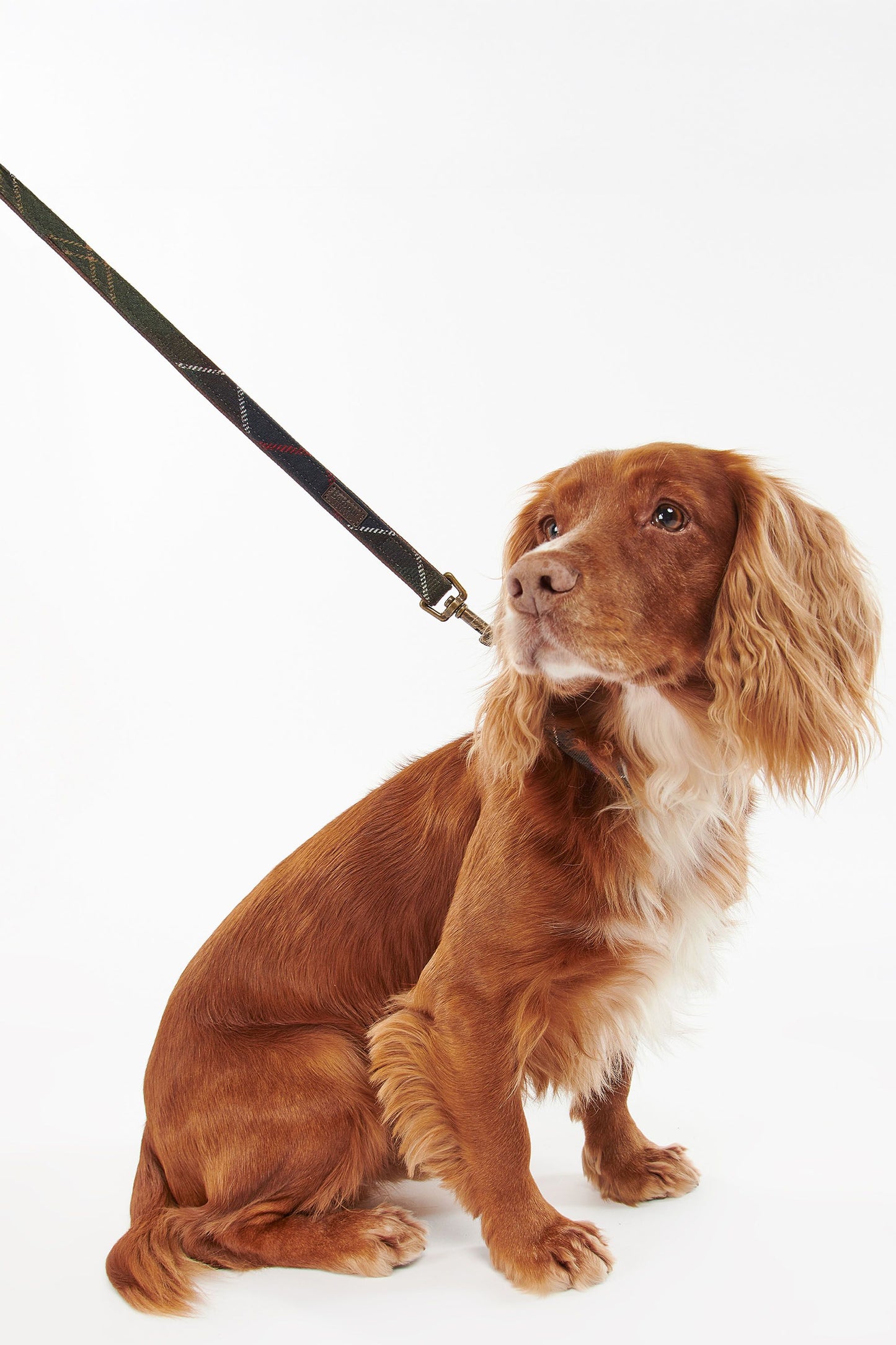 Tartan Dog Lead Classic Tartan