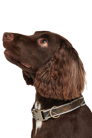 Reflective Tartan Dog Collar Classic Tartan