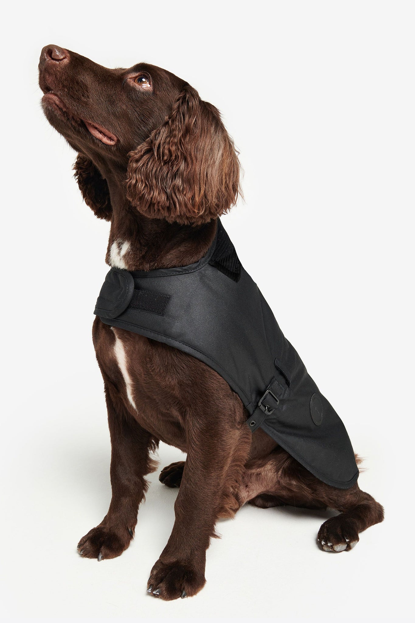 Slykoil Wax Dog Coat Black
