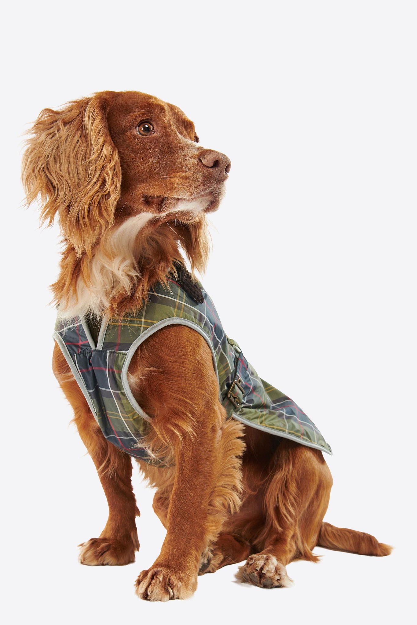 Tartan Waterproof Dog Coat Classic Tartan