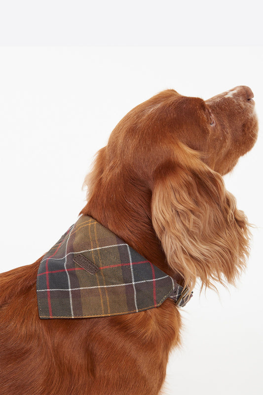 Tartan Dog Bandana Classic Tartan