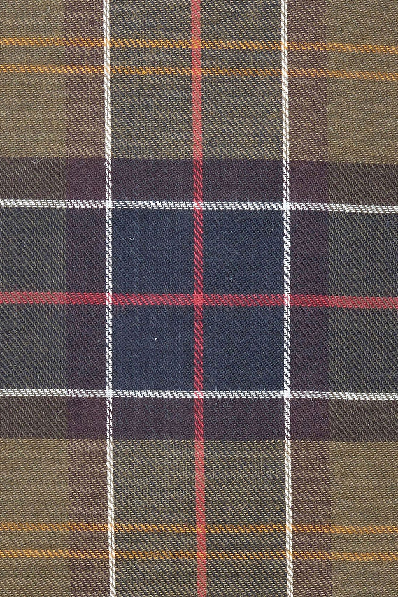 Tartan/Webbing Dog Collar Classic Tartan