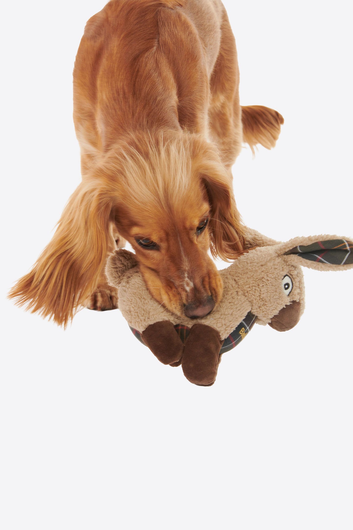 Rabbit Dog Toy Rabbit