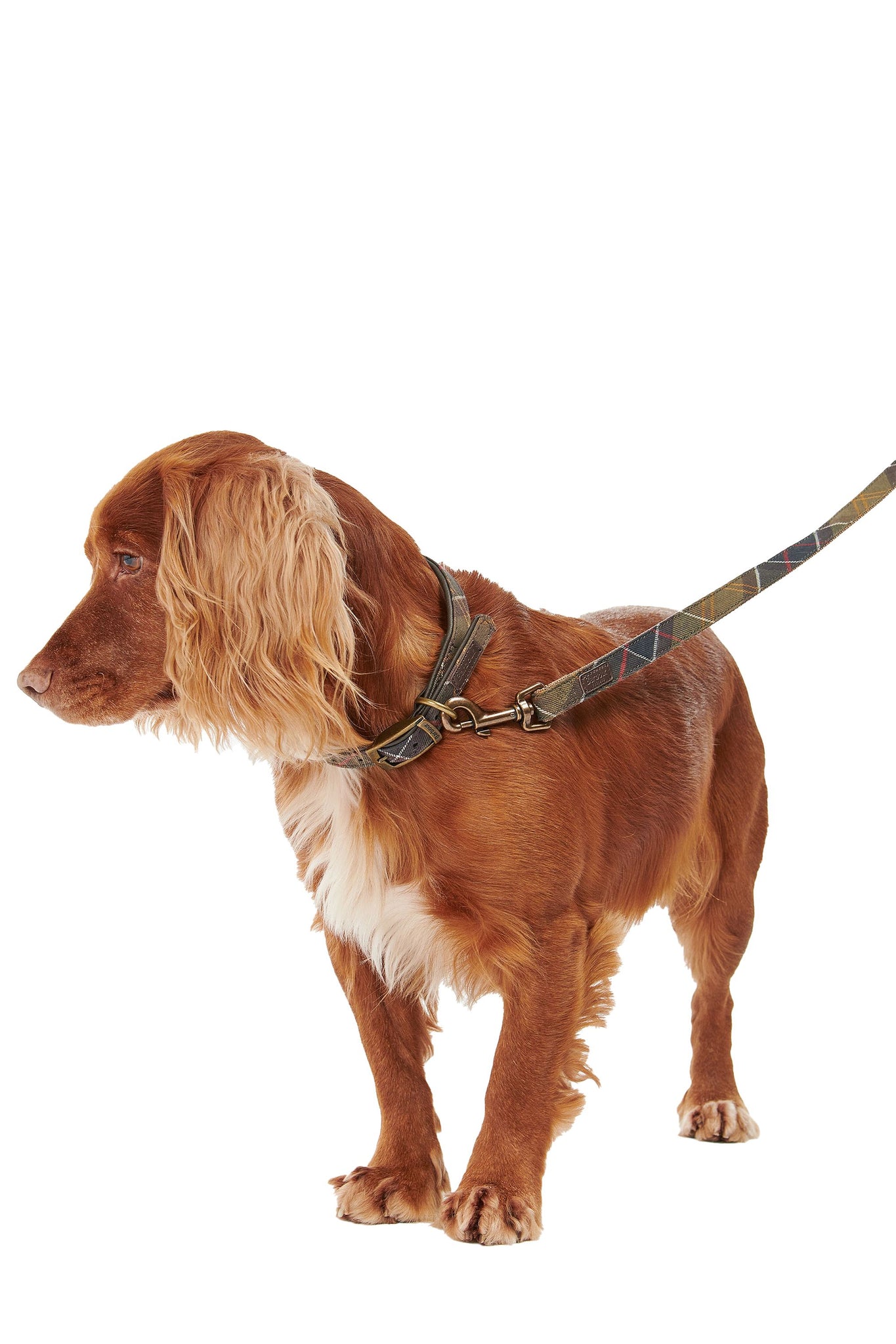Tartan/Webbing Dog Lead Classic Tartan