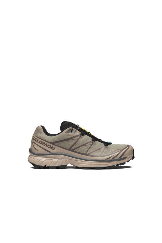 XT-6 Gore-Tex White Pepper/Silver Sage