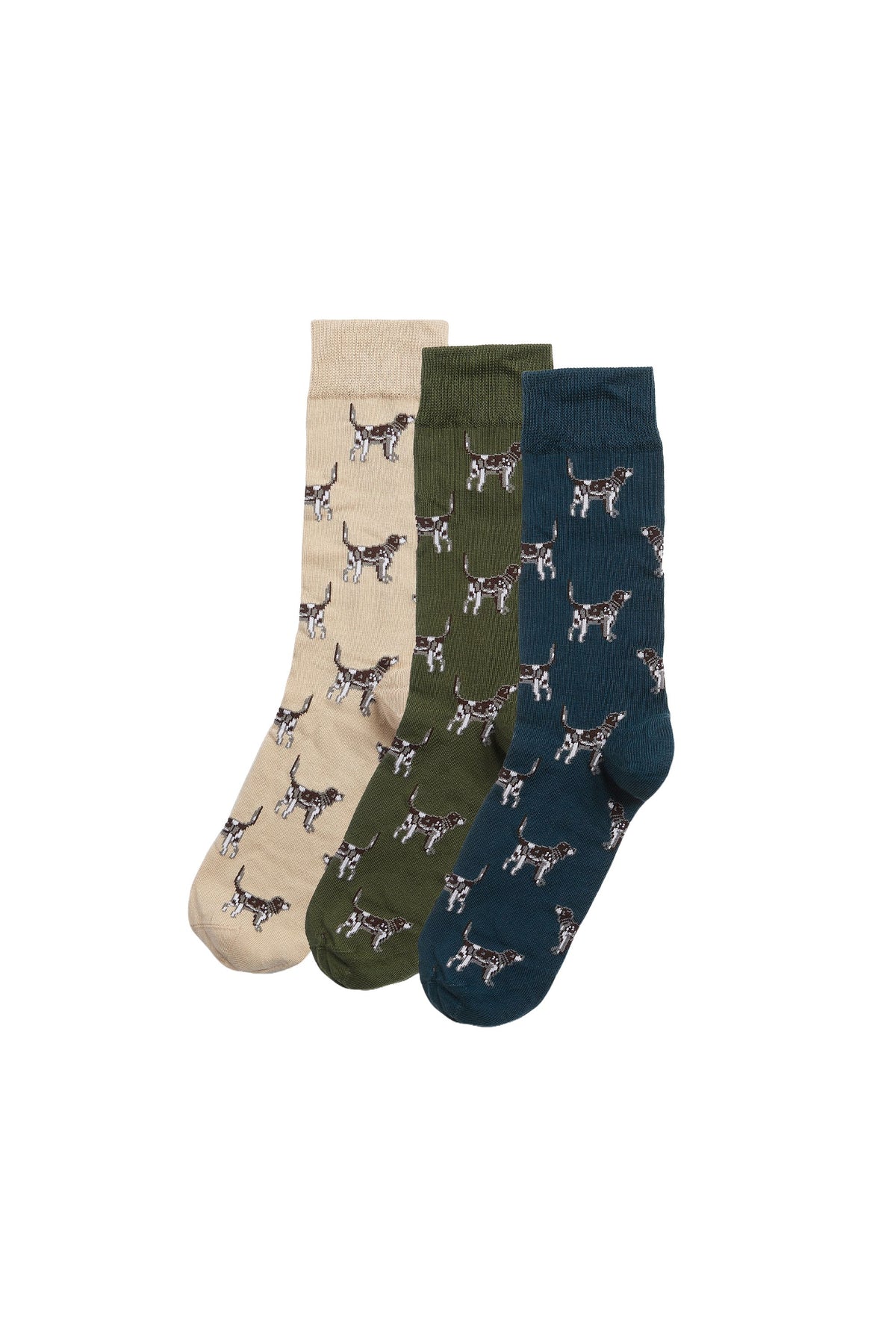 Pointer Dog Socks Gift Box Forest Mist