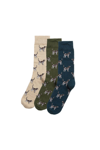 Pointer Dog Socks Gift Box Forest Mist