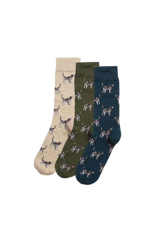 Pointer Dog Socks Gift Box Forest Mist