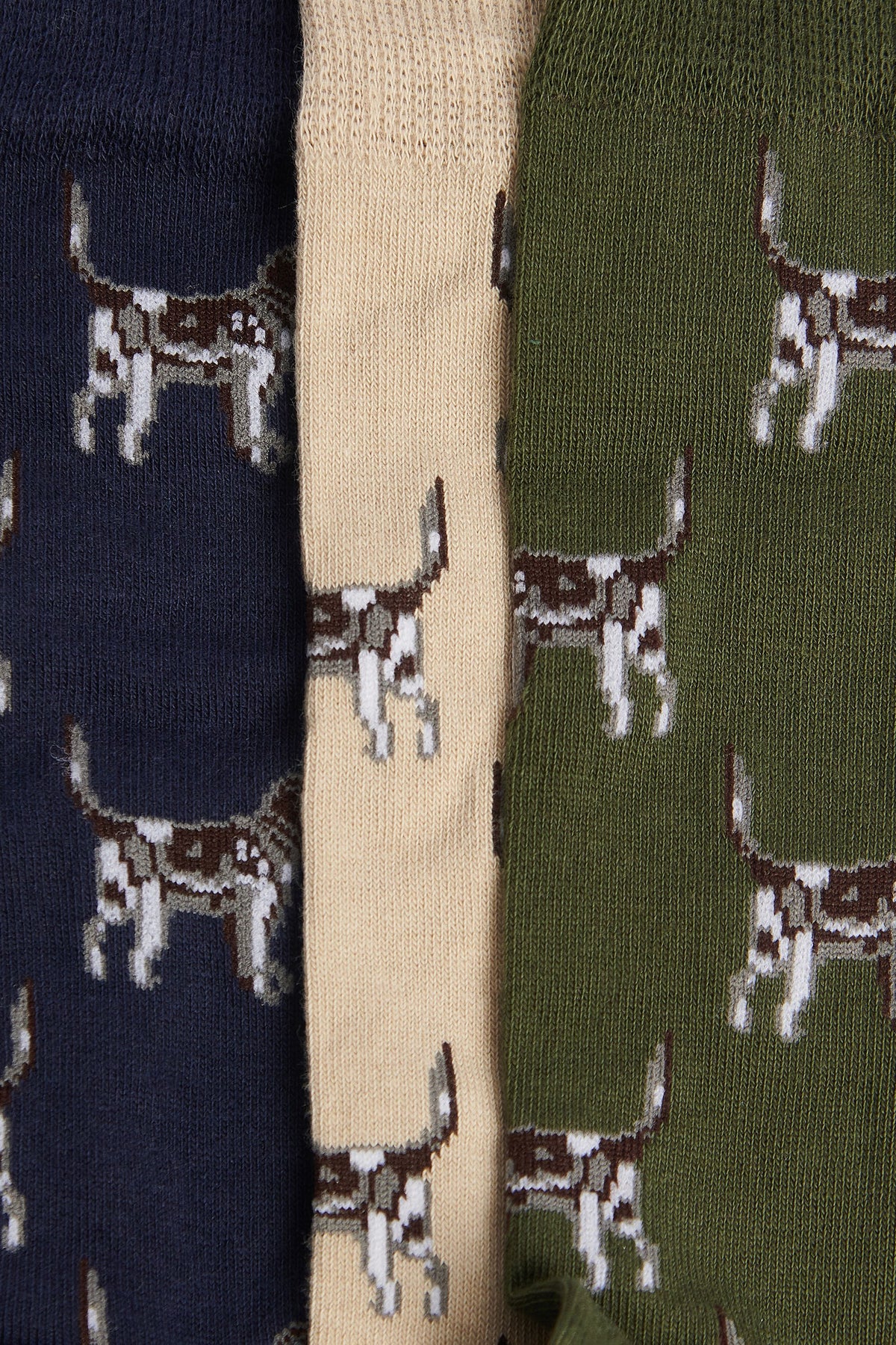 Pointer Dog Socks Gift Box Forest Mist