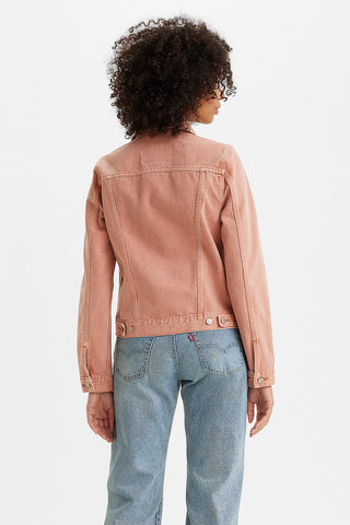 Original Trucker Botanical Safflower