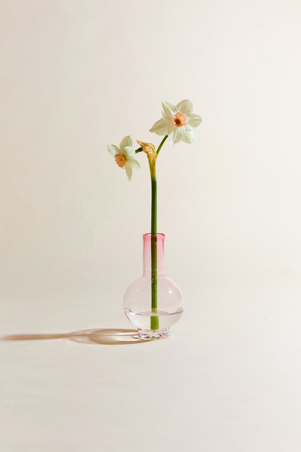 Mini Bulb Vase Blush