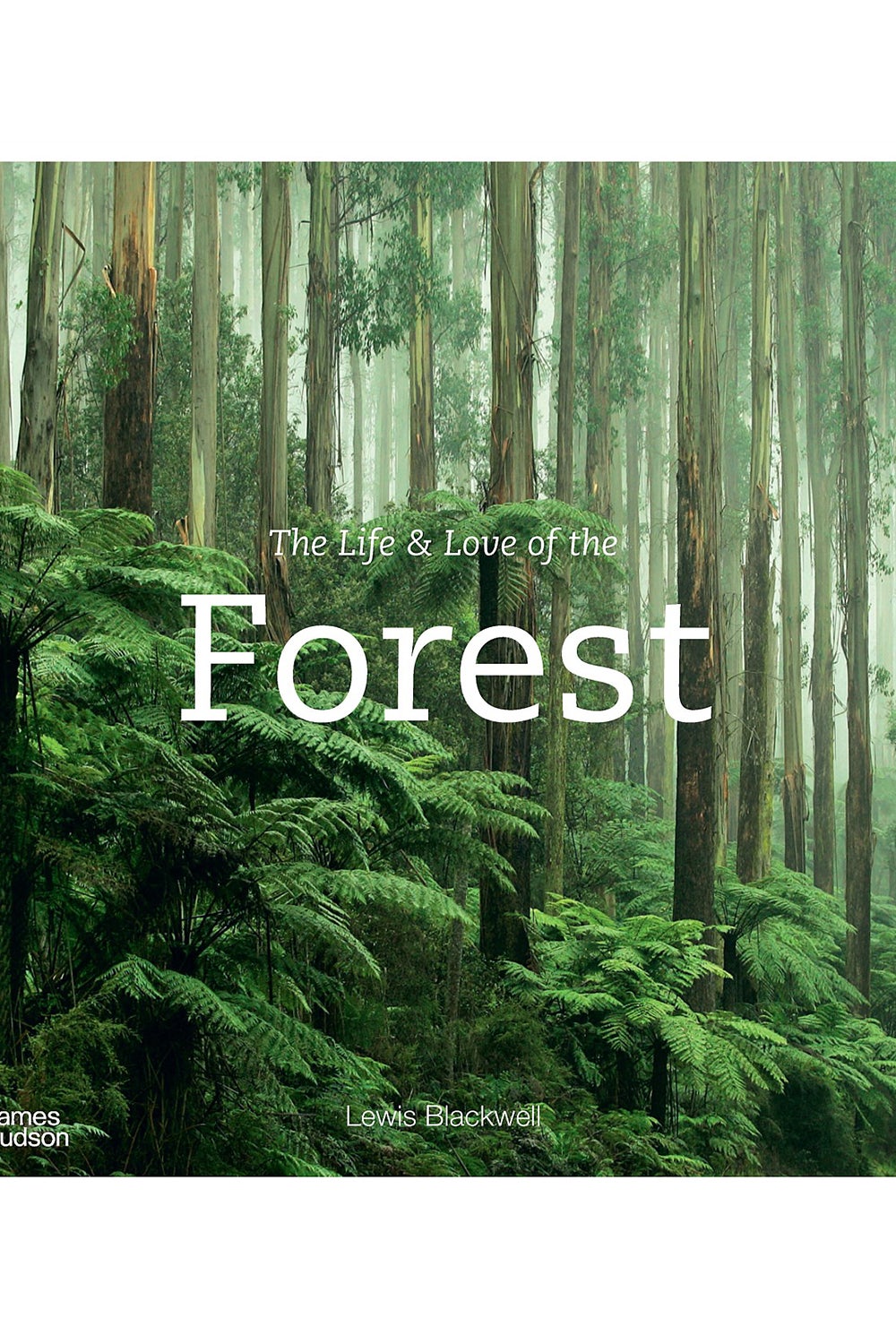 The Life and Love of the Forest by Lewis Blackwell