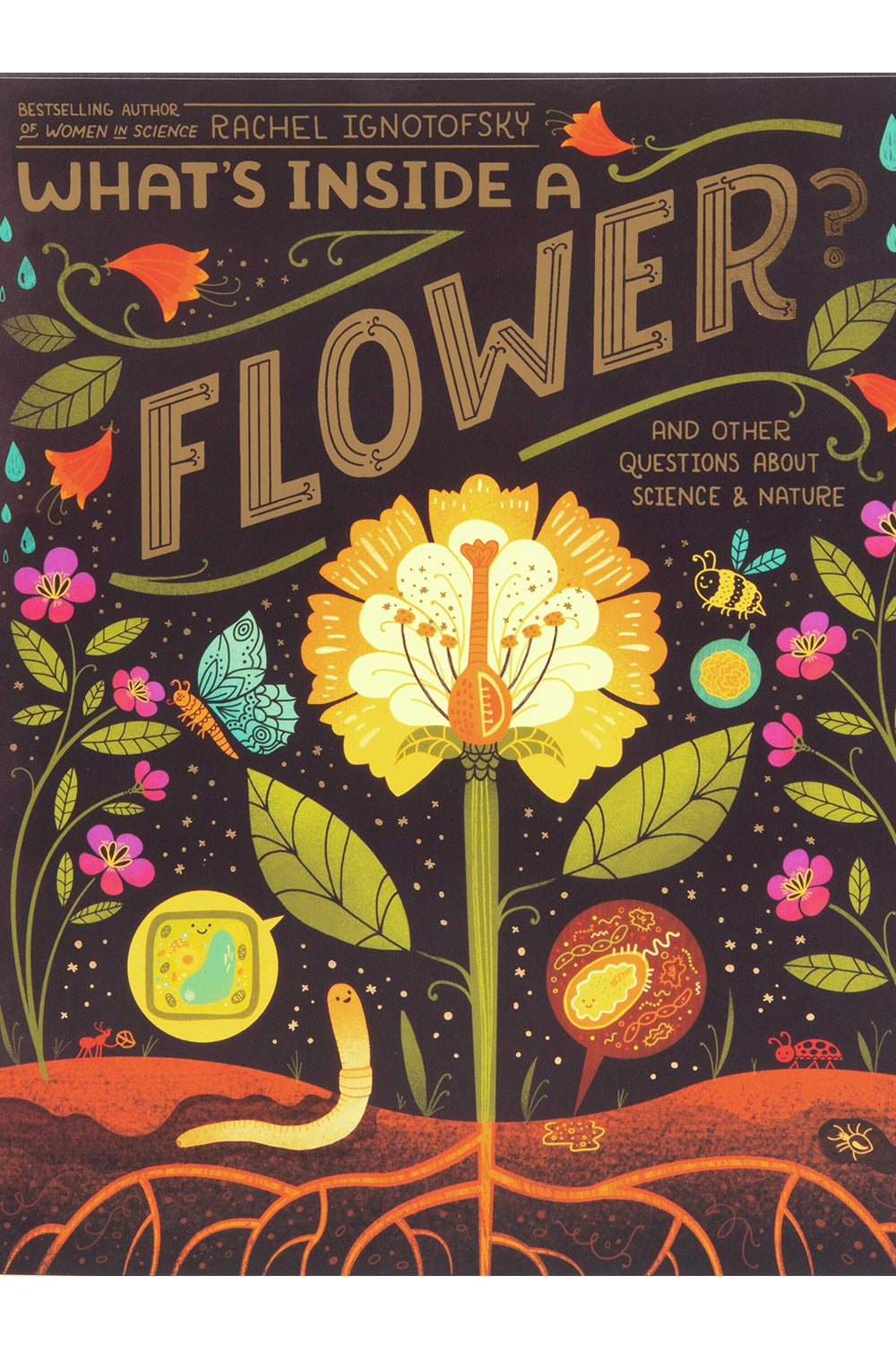 What's Inside a Flower? by Rachel Ignotofsky